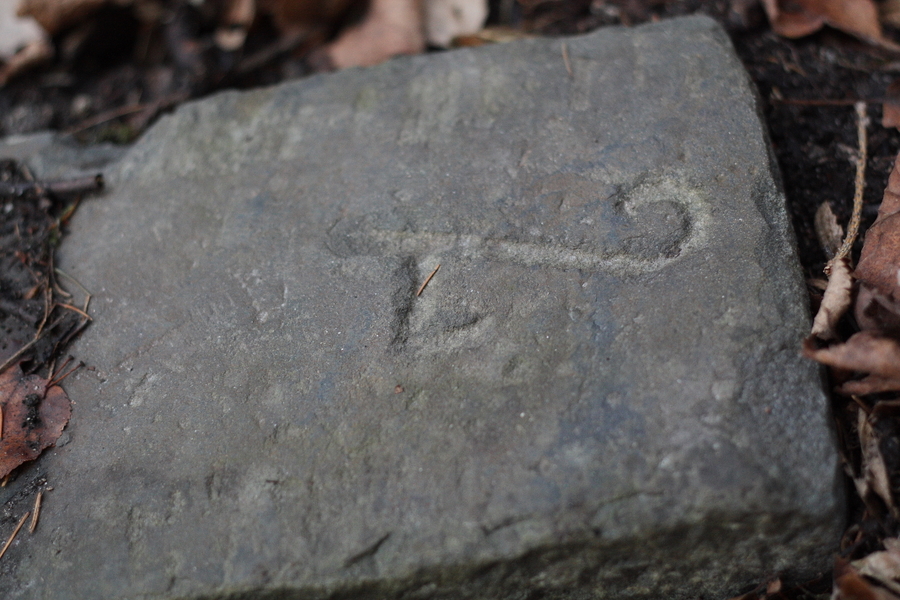 Znak na kameni v lese.