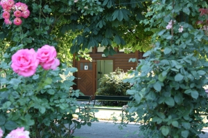 Záchody v růžové zahradě.