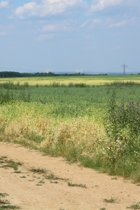 Na obzoru jaderná elektrárna Dukovany.