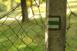 Zelená na plotě