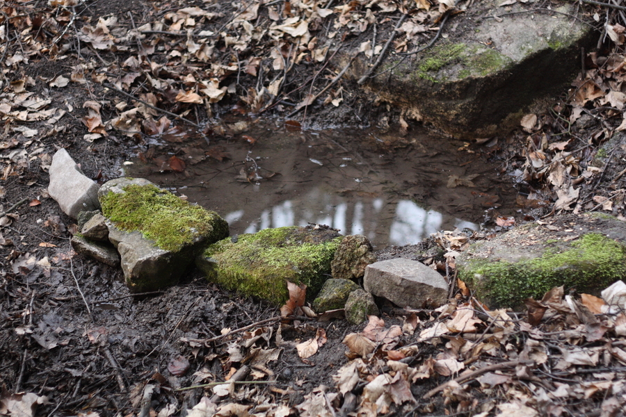 Louže, nebo studánka.