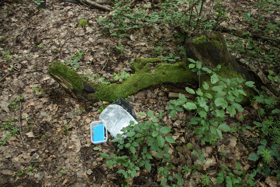 Zase jedna podpařezová - Helenčina studánka.