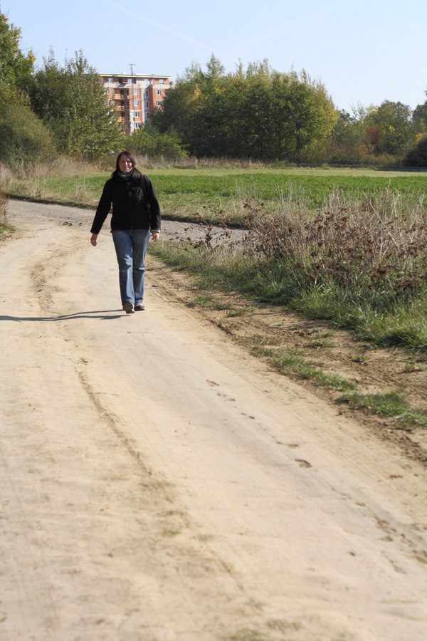 U Křivé borovice.